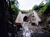 tunnel du bois clair